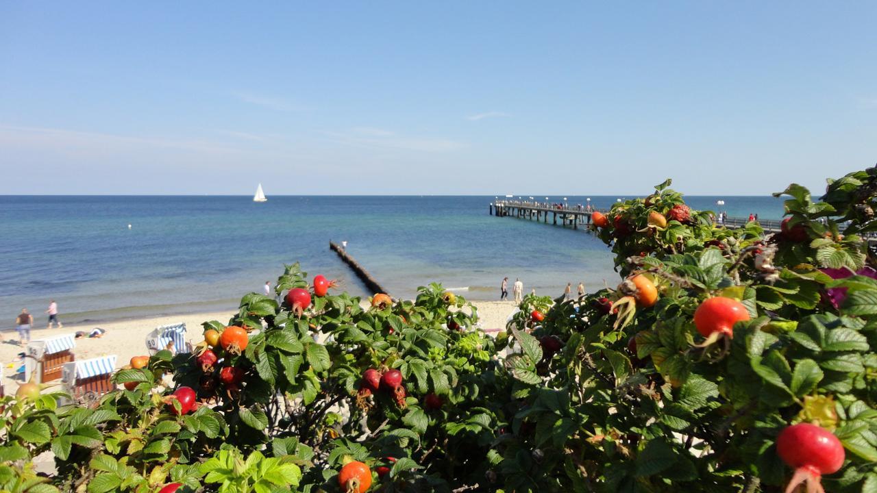 Parkhotel IV Jahreszeiten Ostseebad Kühlungsborn Екстериор снимка